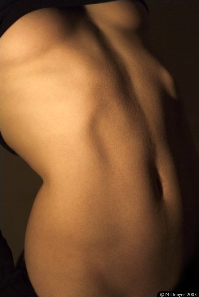 Body Abstract Study