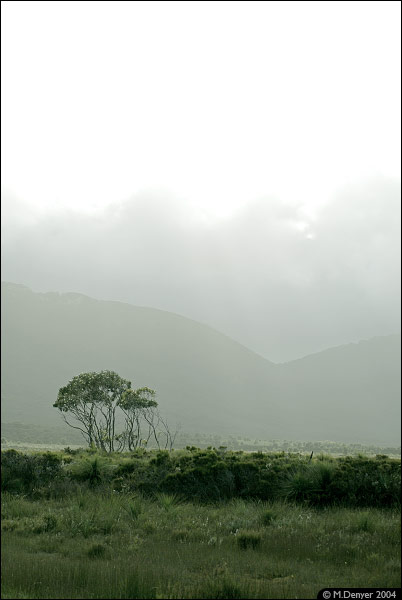 Australian Sunbreak