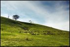 Australian Countryside